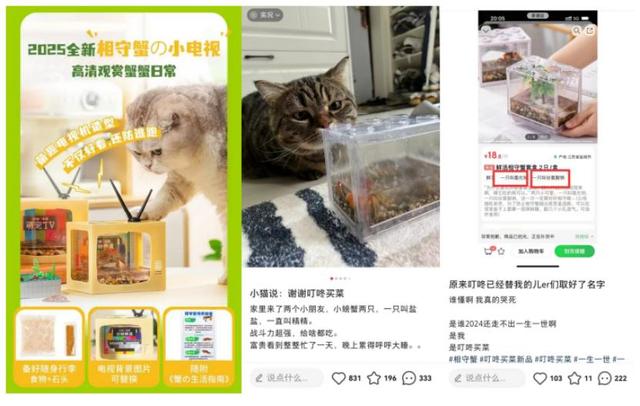 叮咚买菜进入「返场时刻」| 氪金
