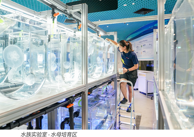 新加坡圣淘沙名胜世界：未来的另一种答案