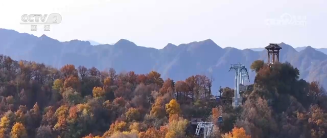 “秋日经济”活力满满 “赏秋+”催动文旅消费“热”力四射