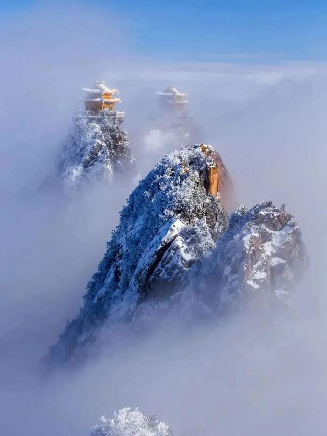 我们，如此热爱洛阳