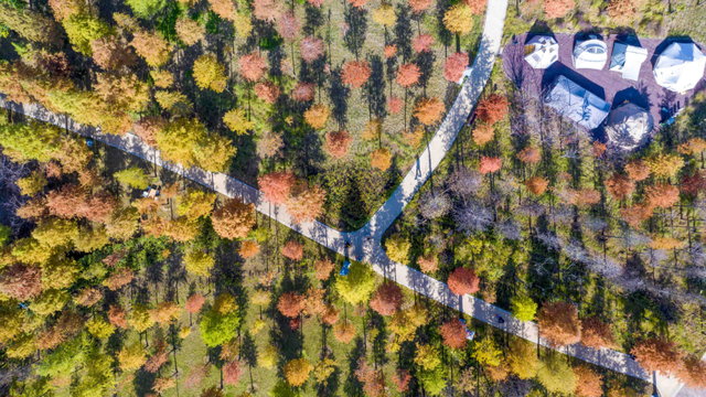 绝绝子！除了绝绝子，我还能怎么夸洛阳