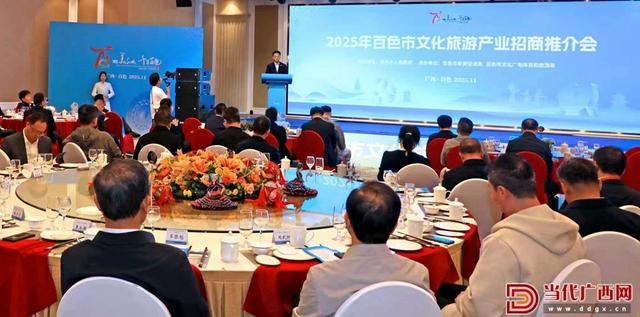 2025年百色市文化旅游产业招商推介会举行