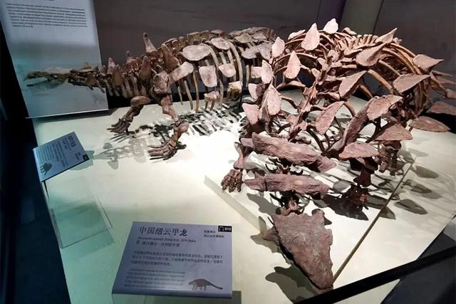 书展好逛，周边这些好玩有趣的项目也不容错过↑丨看书展，逛静安