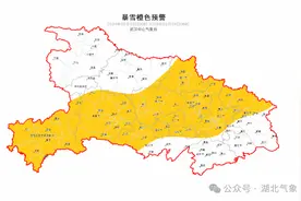 暴雪预警升级！武汉3日进入强降雪区图片