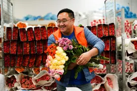 月销15万单，云南花商借拼多多销售破局图片