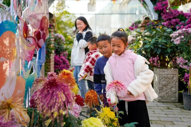 图说定西 | 深秋和菊花的浪漫邂逅
