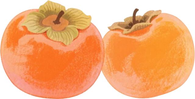 柿子红了!日照这片“柿”情画意,超出片!