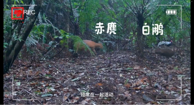 星湖，惊艳全国！这里到底有多美？