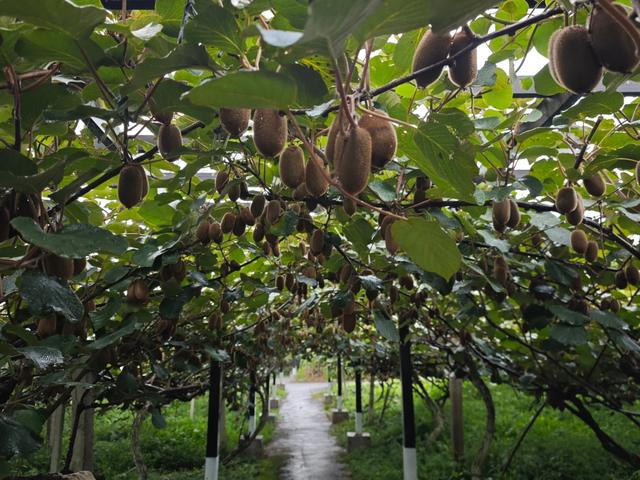 龙场驿：六百年的回响与新声