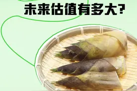 竹笋产业，未来估值有多大？图片
