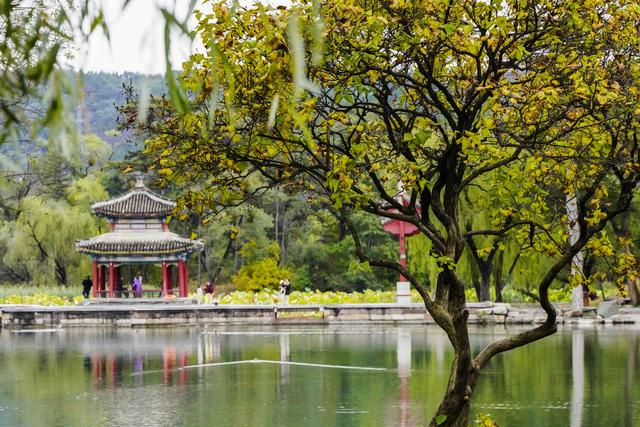 河北承德：避暑山庄秋景如画醉游人