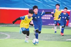 青少年队伍屡创佳绩 “辽小虎”重塑计划初见成效图片