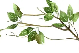 10条精品线路、60个特色打卡点，等你解锁上海的美丽乡村→图片