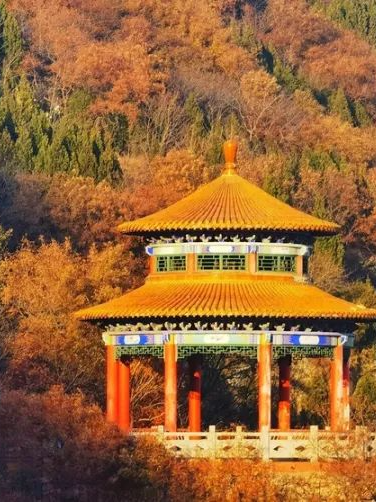 豫见两山 绿色答卷丨生态之旅——打卡“美丽河湖”安阳河