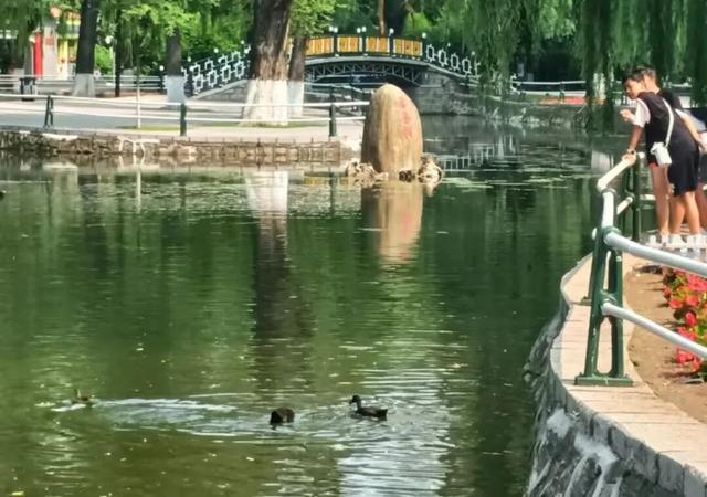 攻略快收藏！城市公园串联起一条红色旅游路线