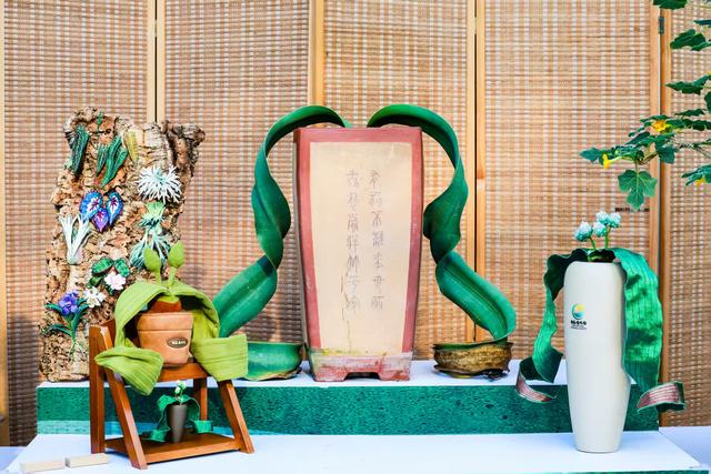 假期第二天，北京市属公园迎客64.2万人，菊花成主角