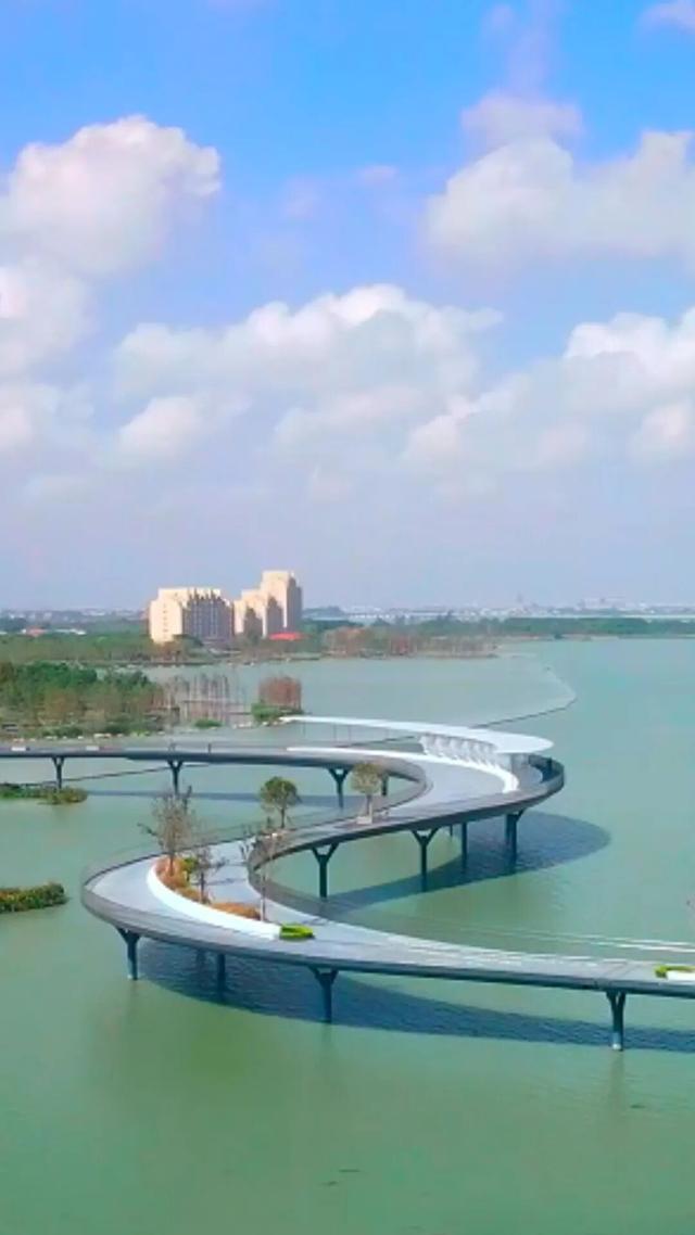 青浦出发！美到窒息，这条长三角秋游线太绝啦～