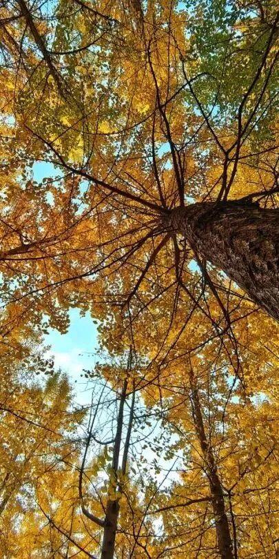 天呐，洛阳的这份「反差感」，绝了！