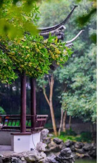 欢聚吴江· “香”遇桂花季丨上线了！吴江赏桂地图！