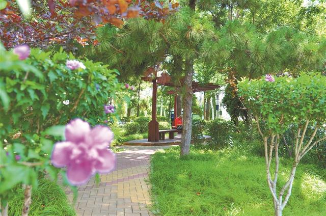 山海相依 点绿成金——秦皇岛市北戴河区持续推动生态优势多方转化