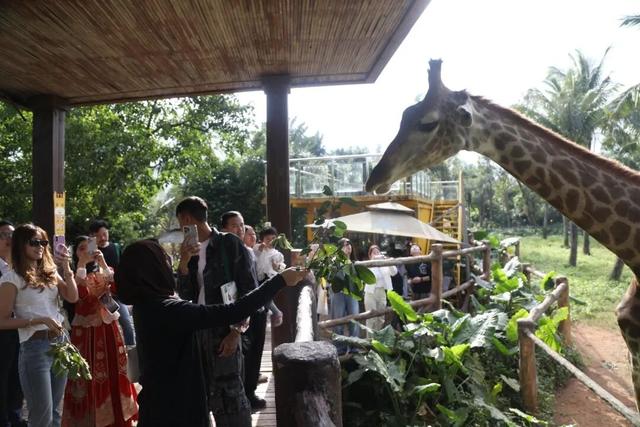 东盟网红漫游海南自贸港采风行：在生态软件园“数”见未来 于定安美食中“醉”享烟火！