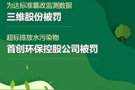 A股绿色周报｜13家上市公司暴露环境风险 三维股份篡改监测数据被罚图片