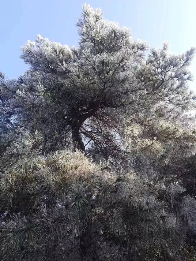 武汉的风有多大？我是被“推”来上班的！