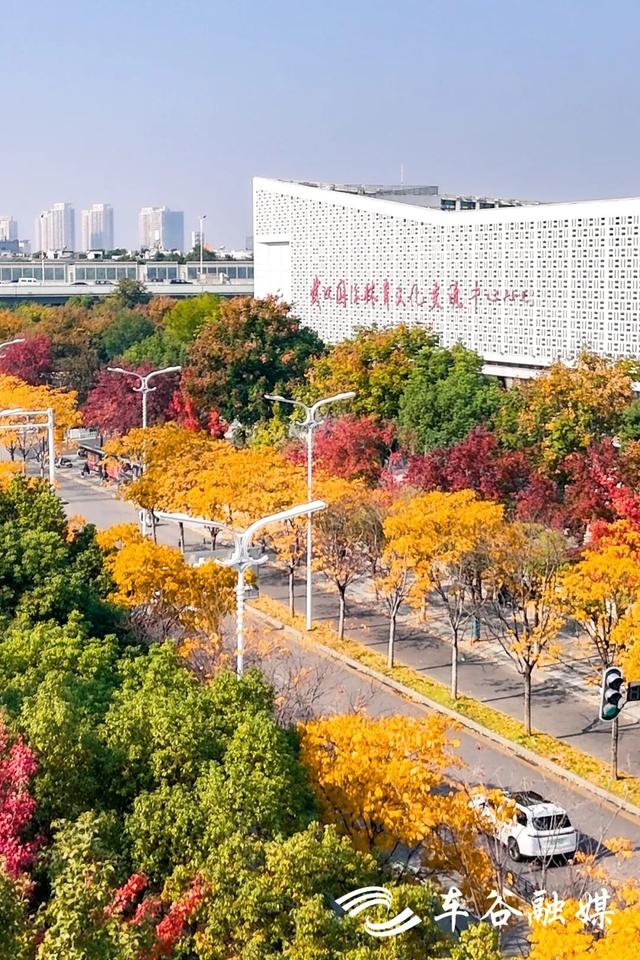 橙黄橘绿时 武汉经开区斑斓如画