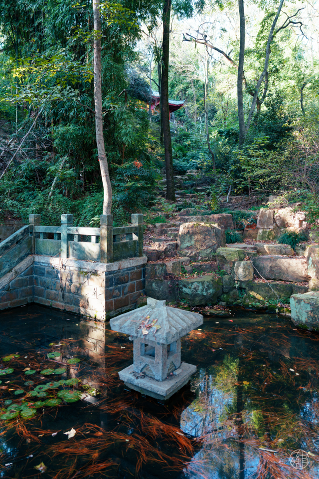 人少景美不绕路，东湖秋日彩蛋上新