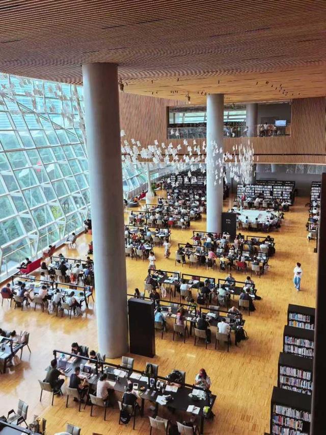 国庆长假8天：申城这些图书馆到馆几十万人次，博物馆有展览刚落幕，也有新展推出
