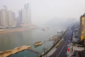 （体育）2025重庆马拉松鸣枪开跑图片