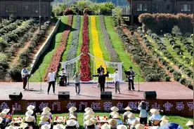 2024茶山音乐厅“音乐午茶”香飘祁门图片