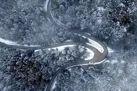 四川泸州古蔺箭竹徐家林：三月雪 不期而遇的浪漫图片