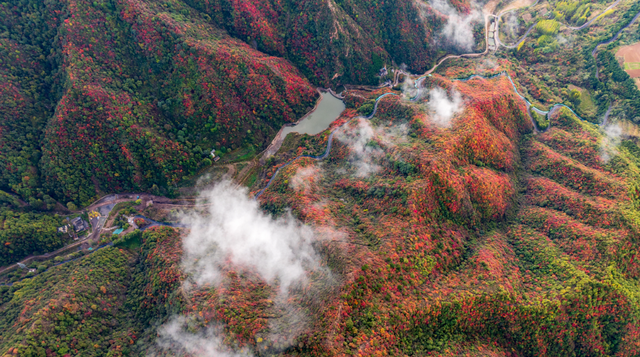 看万山红遍！河南官方发布赏红叶指南→