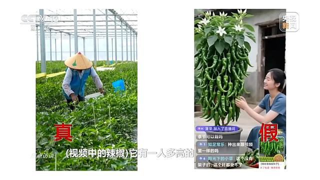 你刷到的奥运冠军代言可能是假的！起底AI仿冒带货新骗局