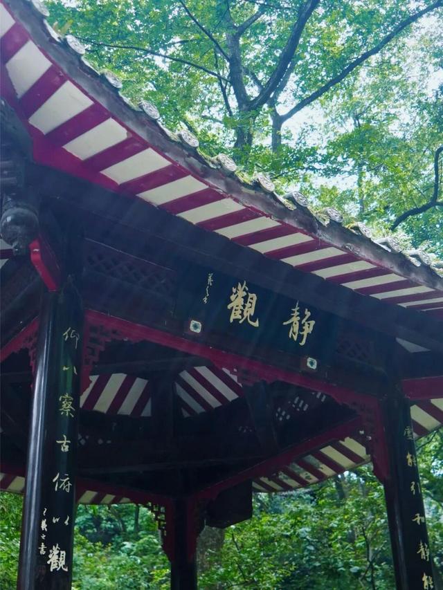 千年人文 诗画大佛 | 在山林中，与秋相逢