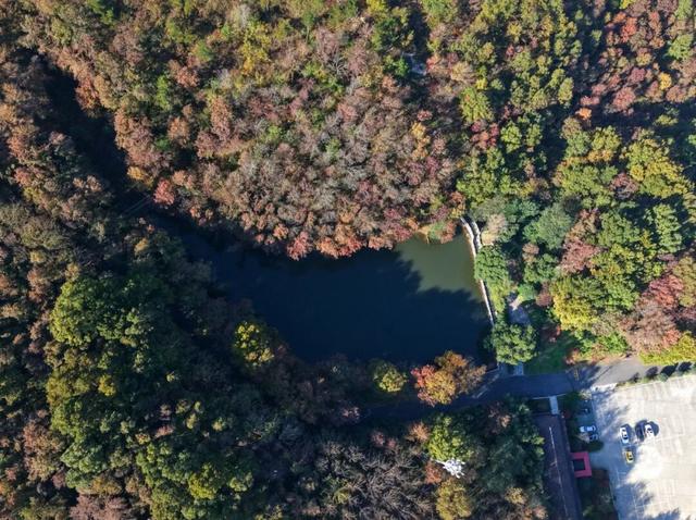 高光频现，火爆出圈！就在巢湖这里…