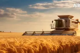 从一粒小麦看产业提档升级图片