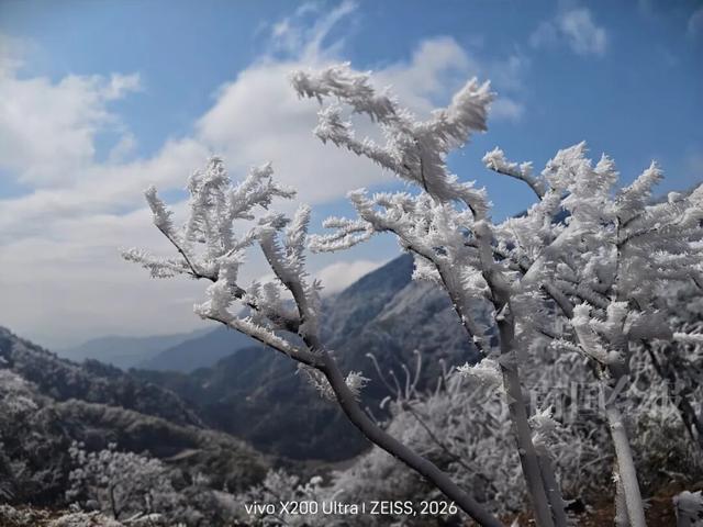 有执念！柳州这个森林公园变身“冰雪王国”，紧急封路也要走上去！
