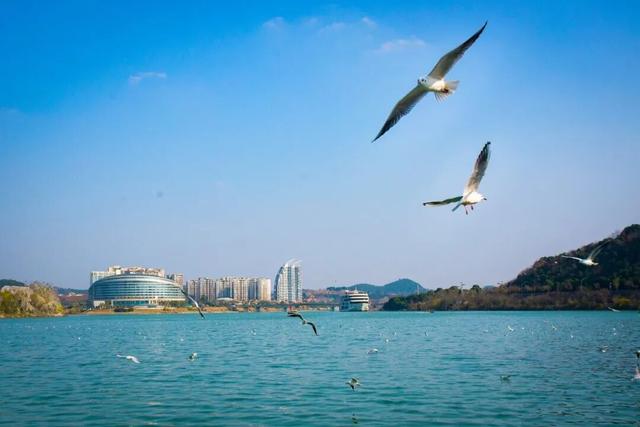 青睐绵阳，走北川过羌年，大美游仙任你玩！