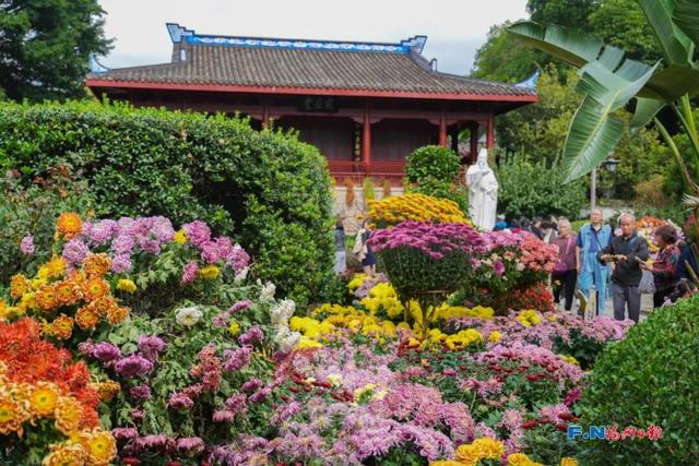 周末去哪玩？今起20天！福州人快冲！