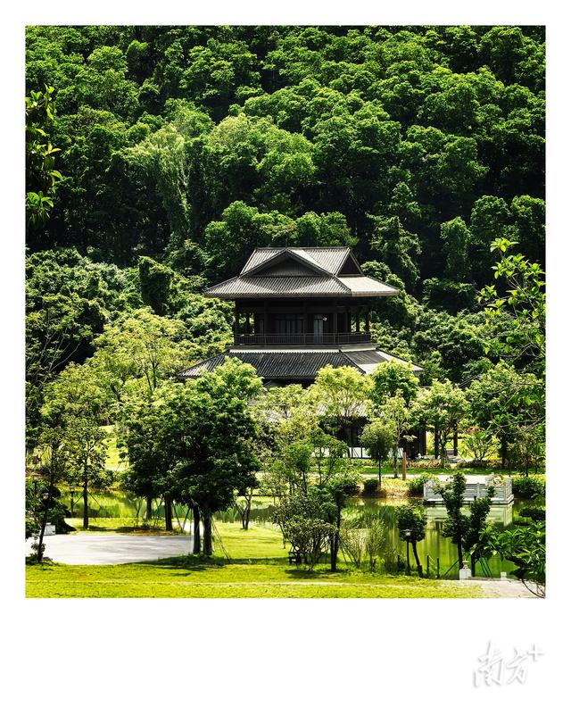 古香林·秋韵