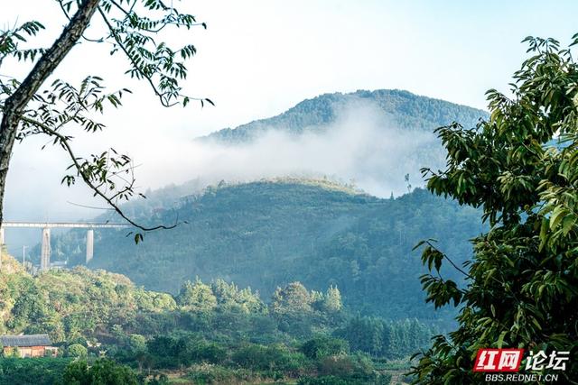 岁暖时刻丨雾锁湘西晨色里，一方秘境藏烟火