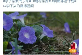 1小时千万播放，李子柒时隔3年回归！目前已抢回李子柒商标图片