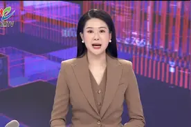 2025年崇明世界级生态岛建设干部挂职锻炼集体见面会召开视频封面