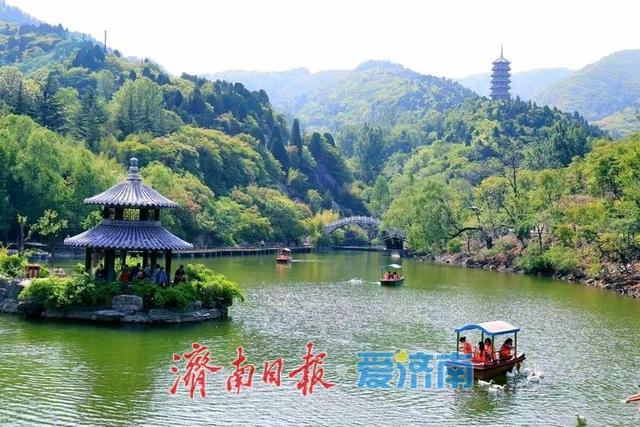 醉美四月天！济南红叶谷第21届郁金香花节浪漫启幕