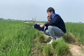 优环境 抓项目 促振兴｜曹曦：助力农村集体经济增收致富 为“美丽乡村”建设添砖加瓦图片