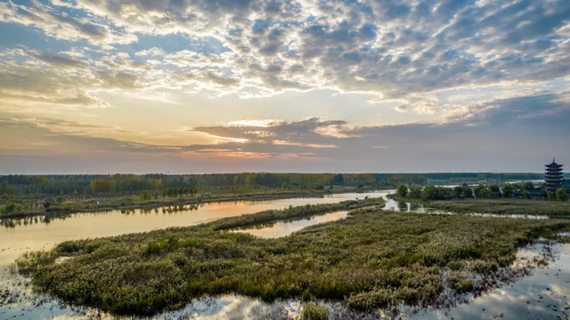荣耀时刻！东平湖文旅集团荣膺“2025年中国文旅运营标杆企业”