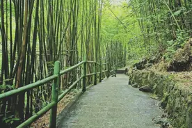 约吗？重庆多个景区中国旅游日免门票图片