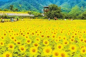 【大美中国】和美乡村图片